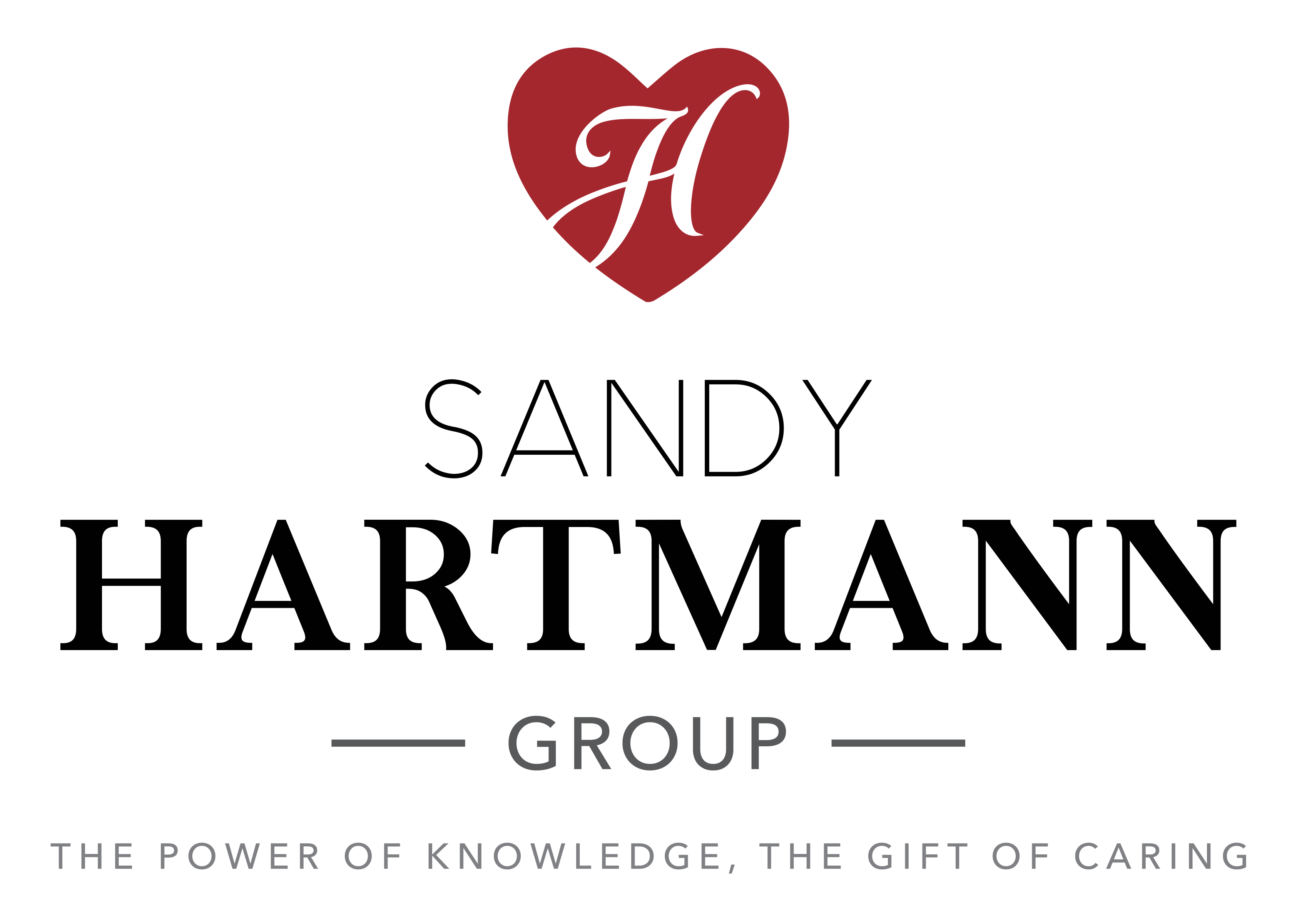 The Sandy Hartmann Group