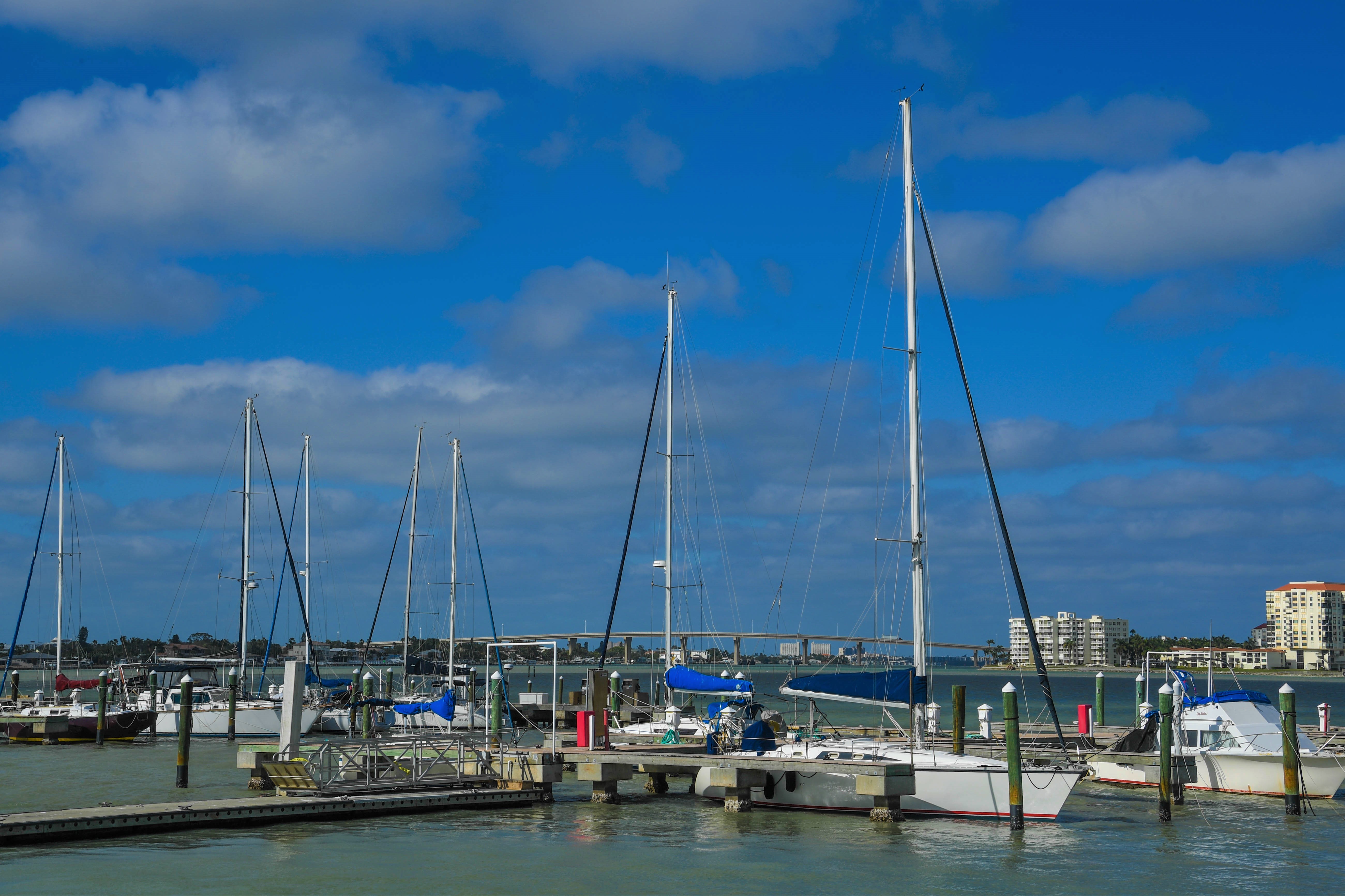 Marina- Photo Courtesy of Yuliya Gallimore Marina- Photo Courtesy of Yuliya Gallimore