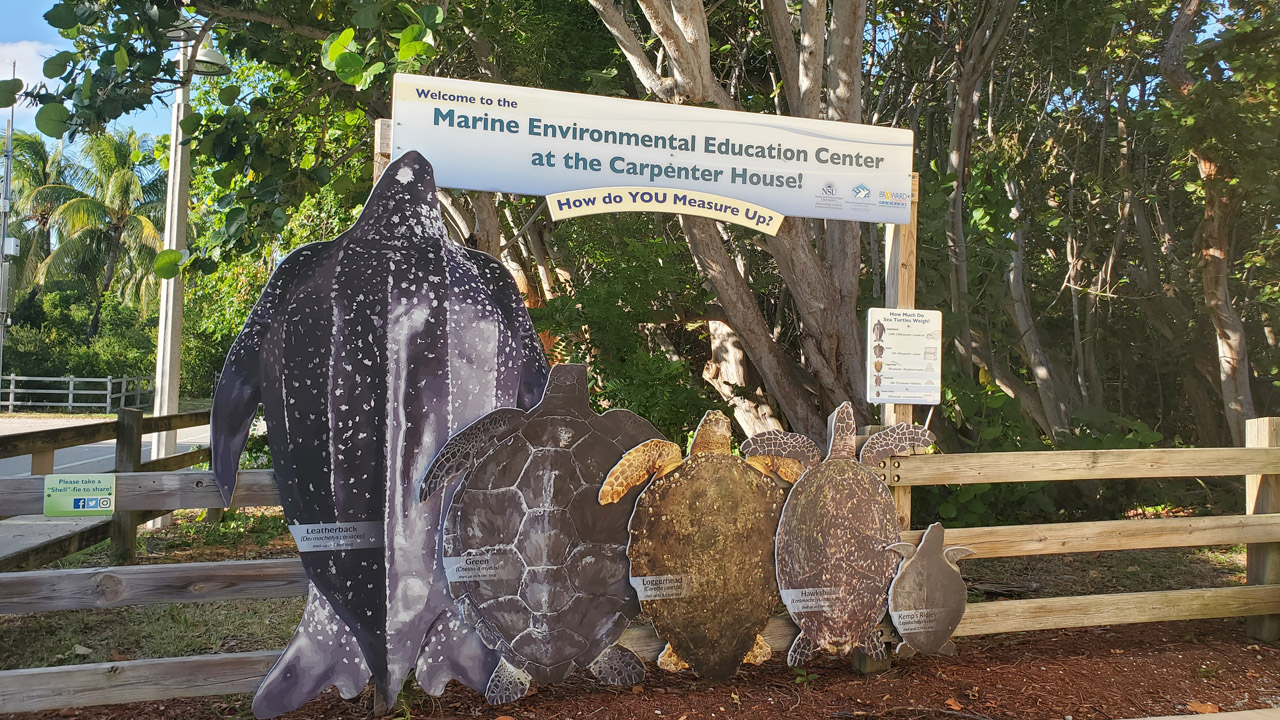 Marine Environmental Education Center at the Carpenter’s House in Hollywood Beach Marine Environmental Education Center at the Carpenter’s House in Hollywood Beach