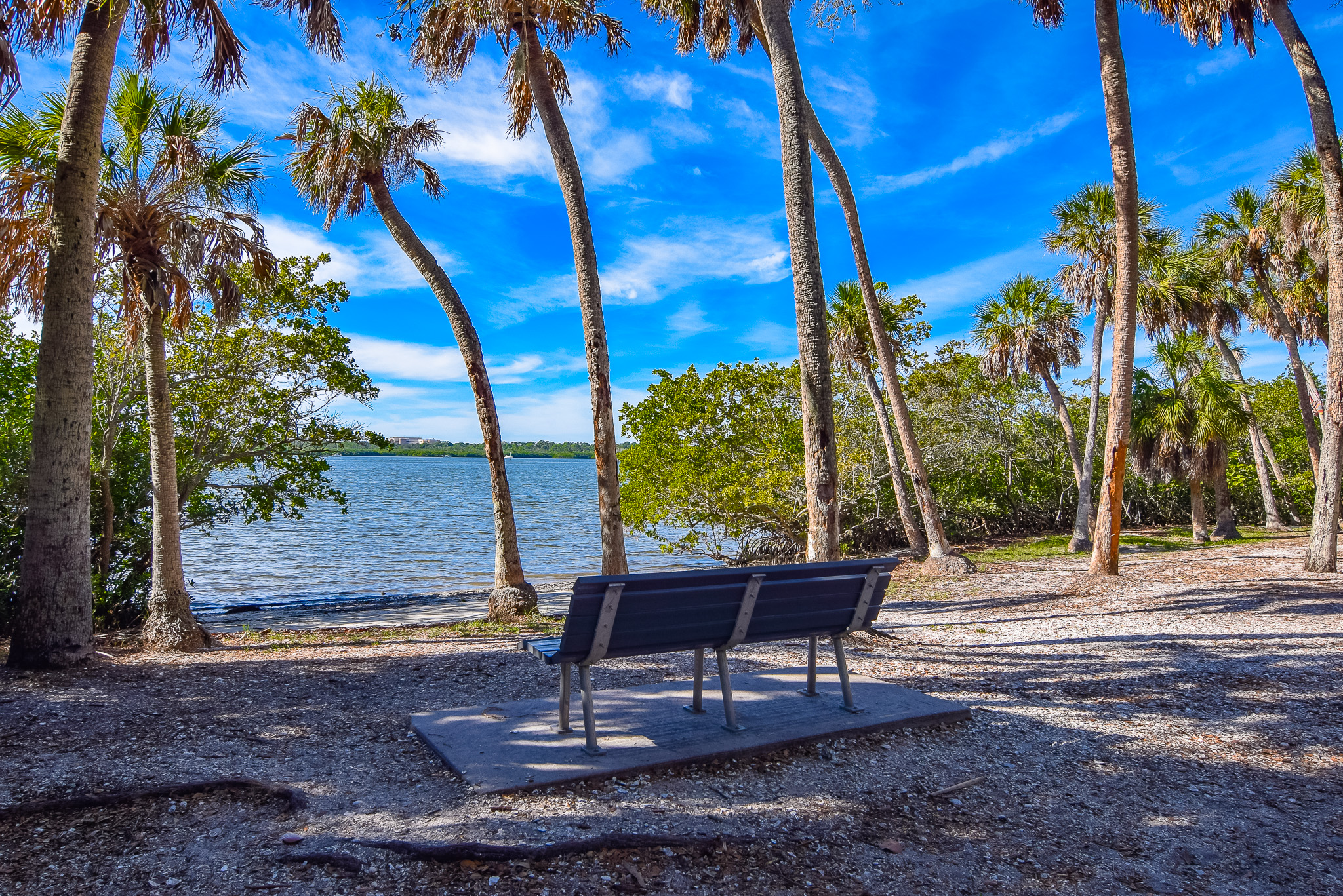 View of Abercrombie Park in St Petersburg, FL View of Abercrombie Park in St Petersburg, FL