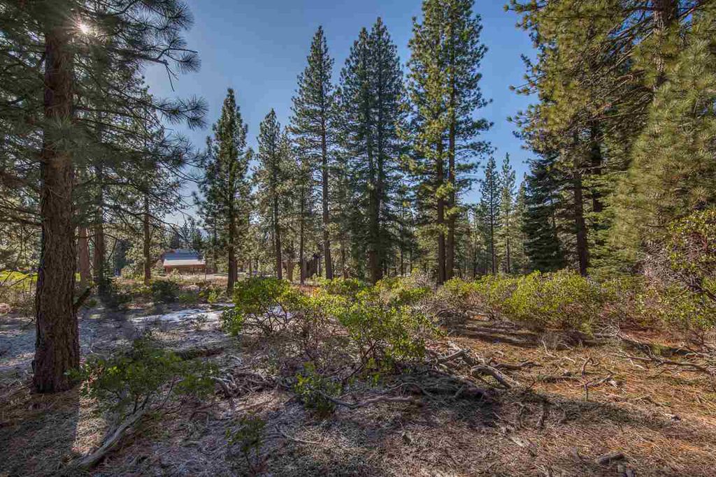 Wooded lot