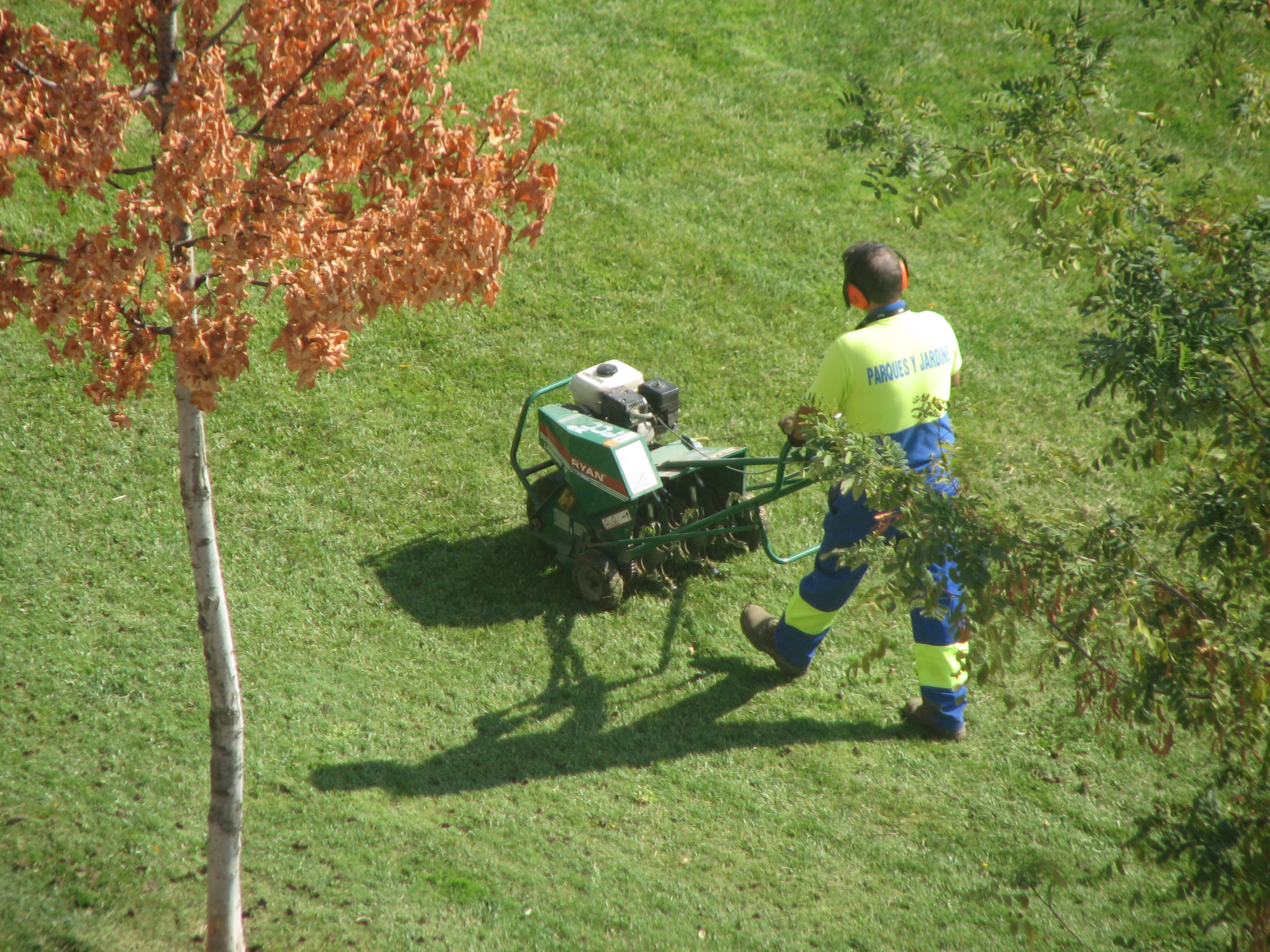 A GREAT LAWN STARTS NOW A GREAT LAWN STARTS NOW