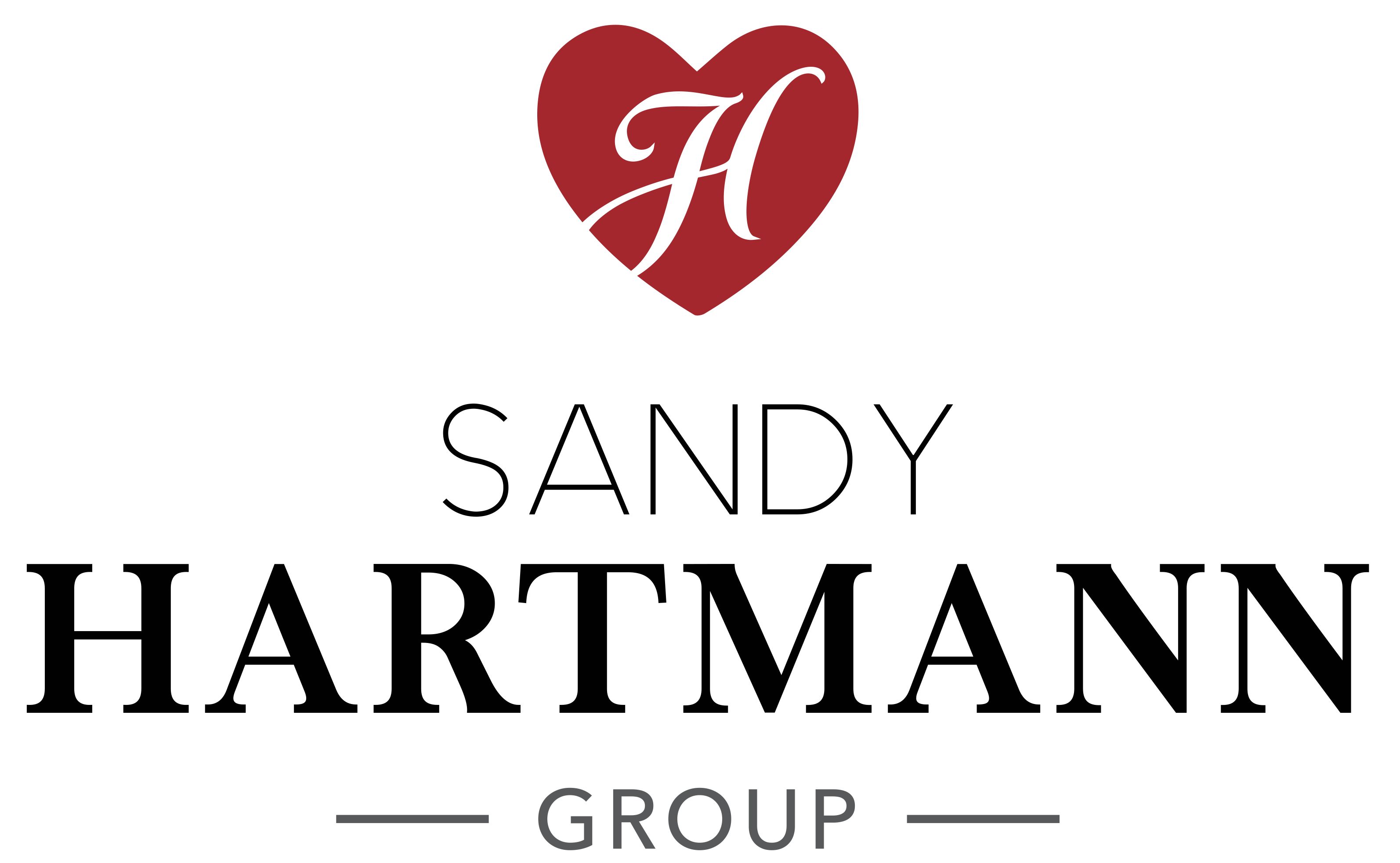 The Sandy Hartmann Real Estate Group