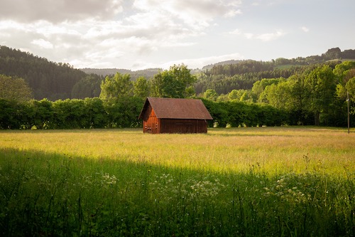 Woodstock image house