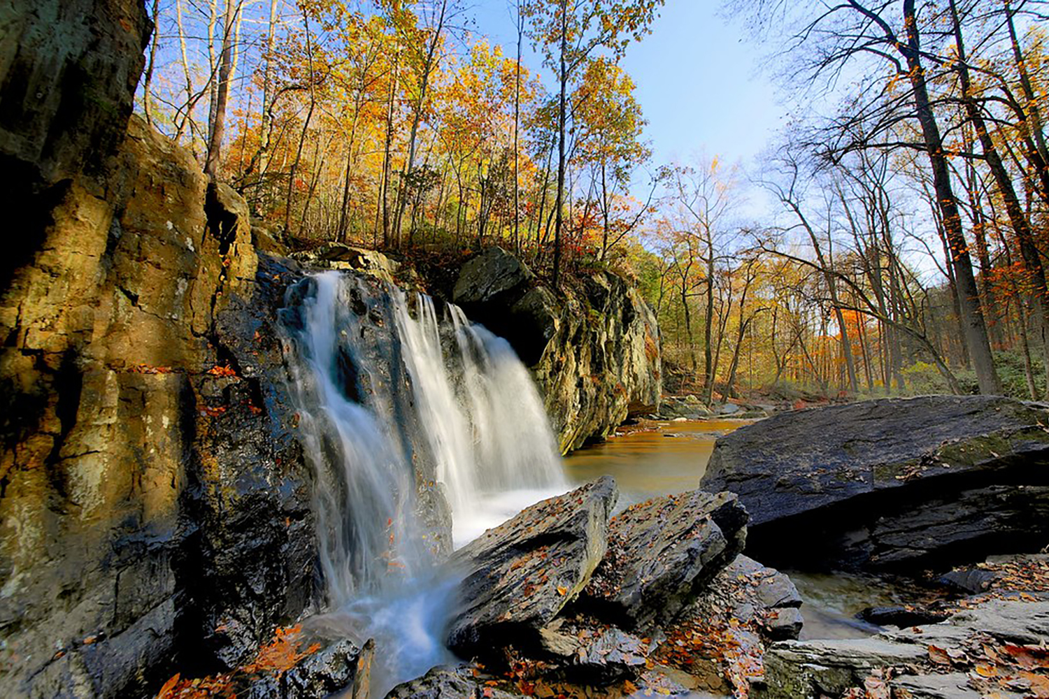 Dawn Wooldridge, Realtor Dawn & Company brokered by eXp Realty