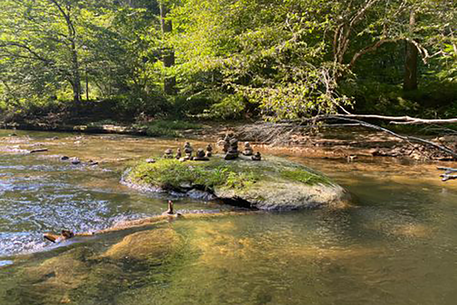 Dawn Wooldridge, Realtor Dawn & Company brokered by eXp Realty