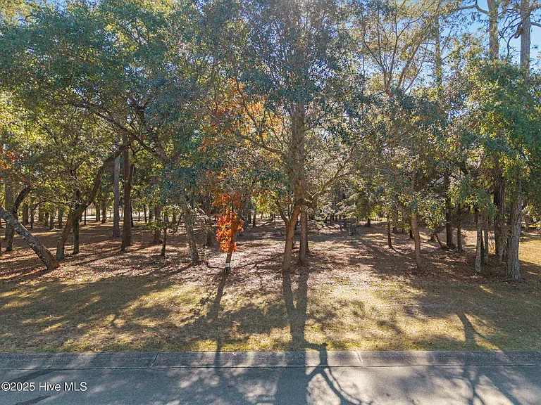 open plot of land beside road