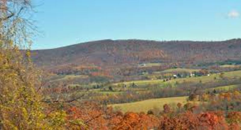 Property in Murrysville