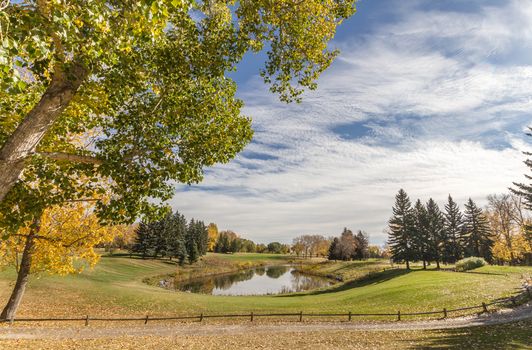 Calgary SW Homes for Sale Search