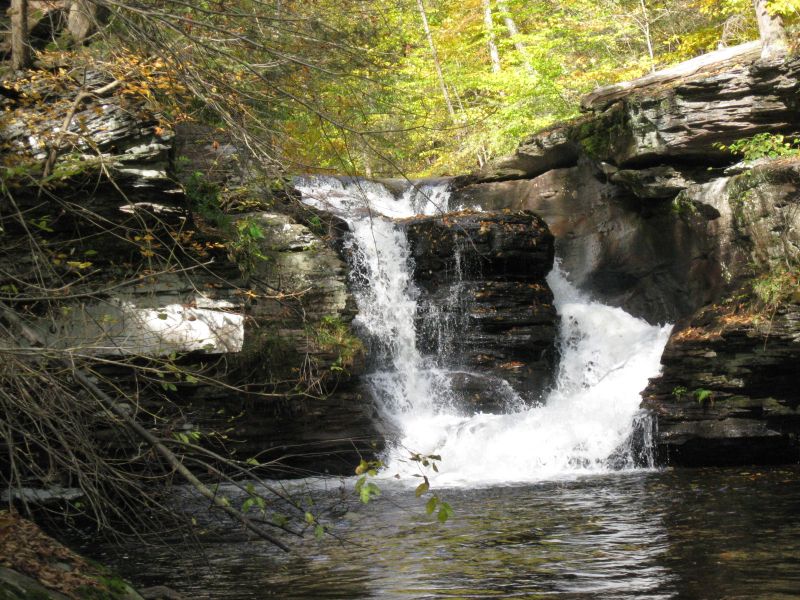 Property in Reynolds
