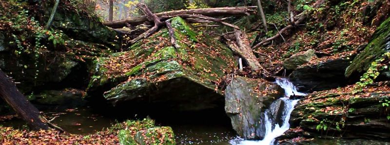 Property in Otter Creek