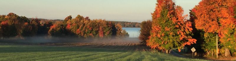 Property in City of Cortland
