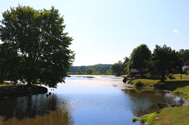 Property in Worthington
