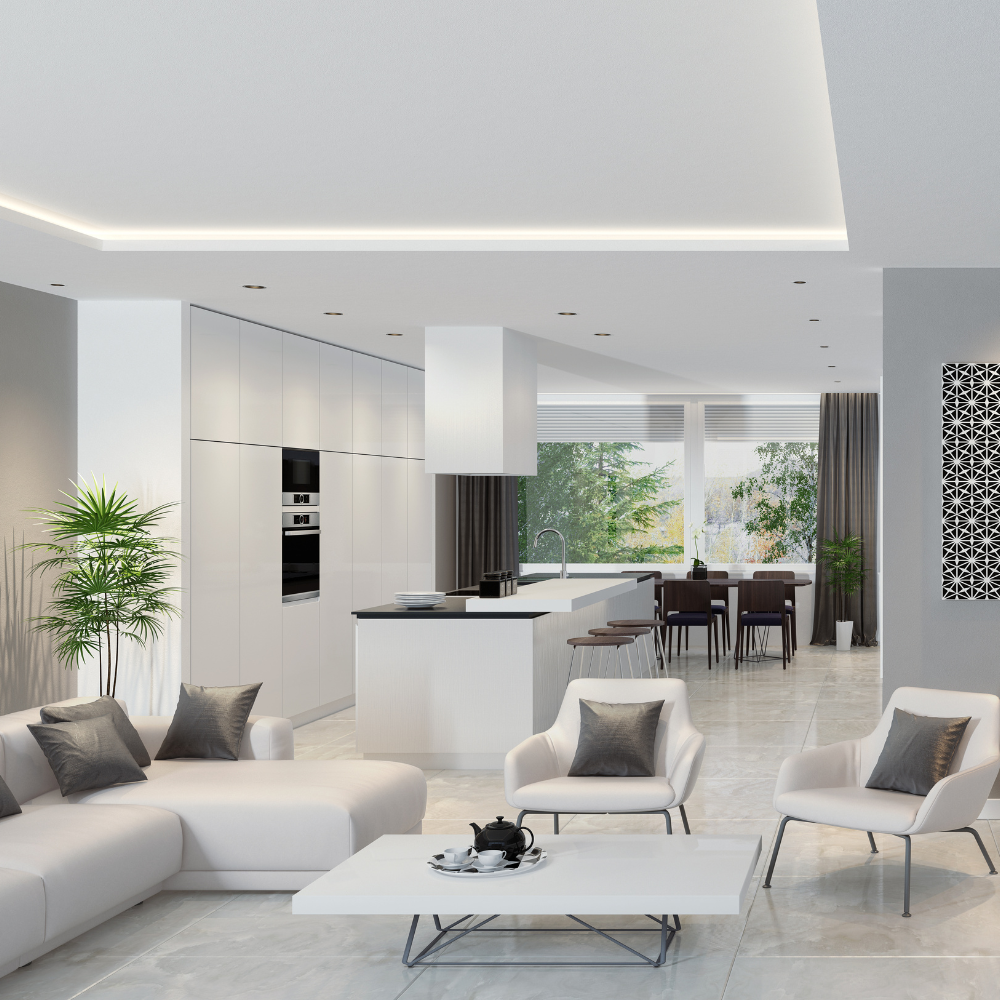 living room with wood floors and 2 couches