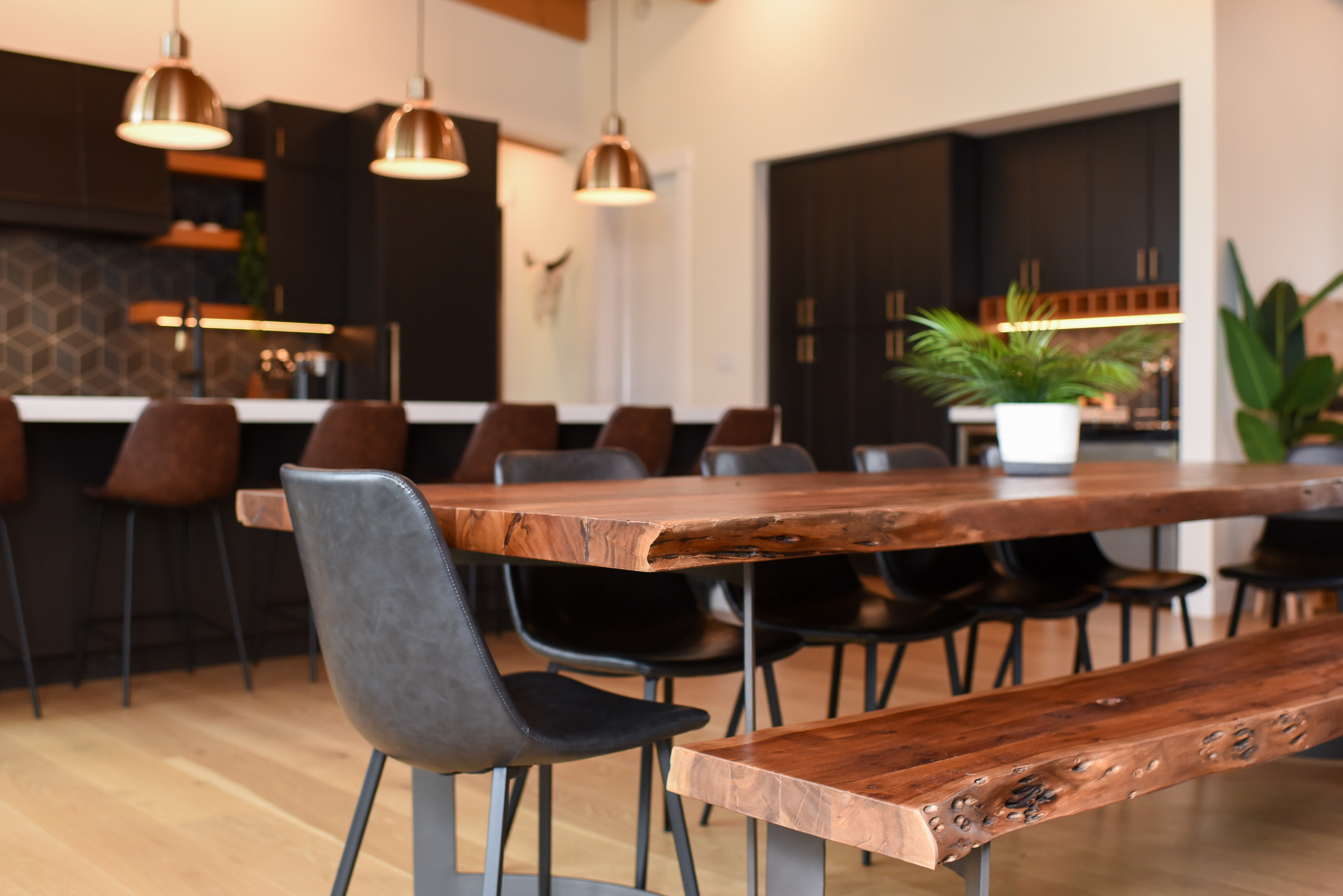 moden updated kkitchen