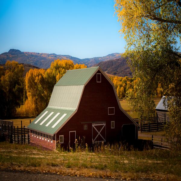 front living room with overhanging lamp and gray couch